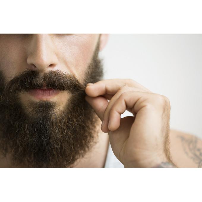 barbe_680x680.jpg